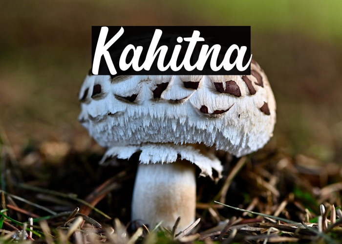 Kahitna Example 3