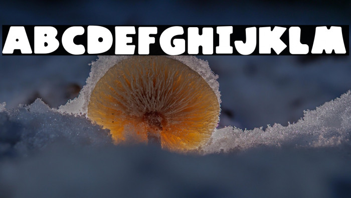 Kaiden Regular Example 2