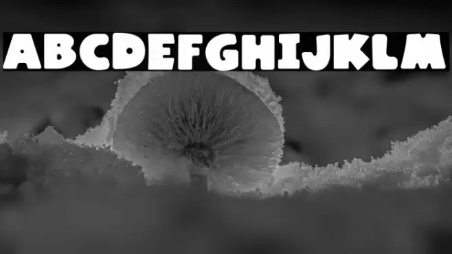 Kaiden Regular Font examples