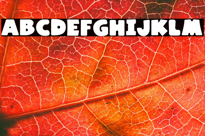 Kaiden Regular Example 3