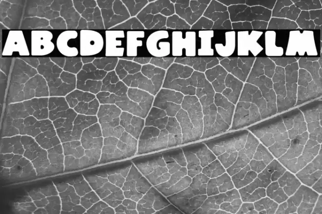 Kaiden Regular Font examples