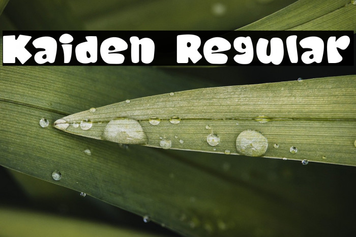 Kaiden Regular Example 3