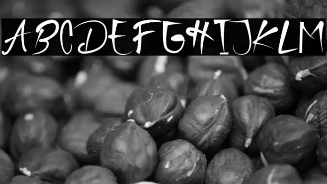 Kaidomaru Font examples