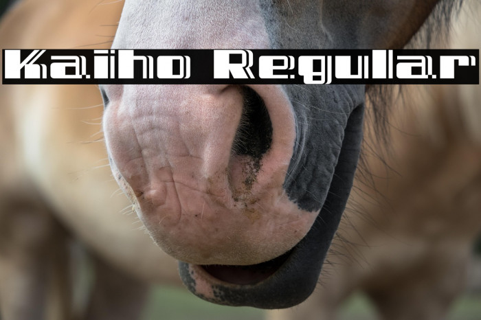 Kaiho Regular Example 3
