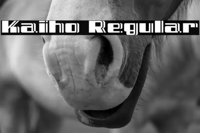 Kaiho Regular Font examples