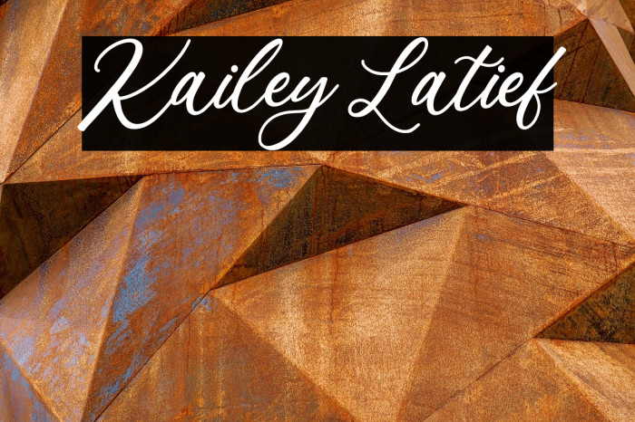 Kailey Latief Example 1