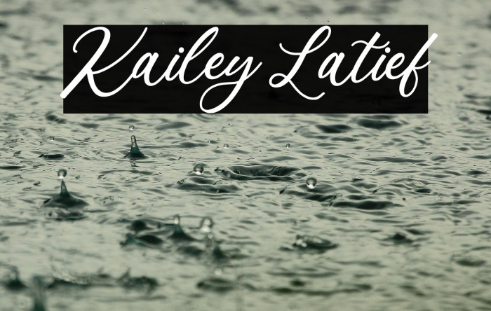 Kailey Latief Example 2