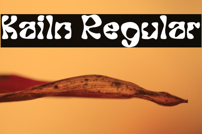 Kailn Regular Example 1