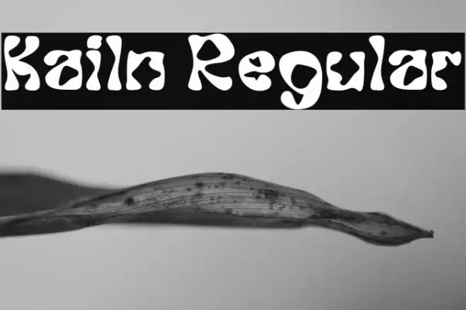 Kailn Regular Fuentes examples