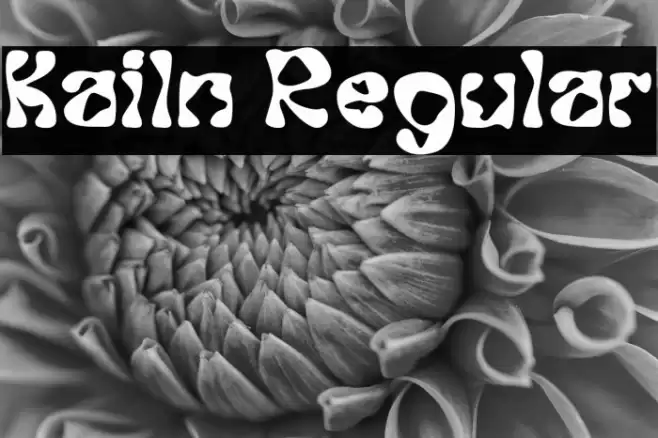 Kailn Regular Fuentes examples