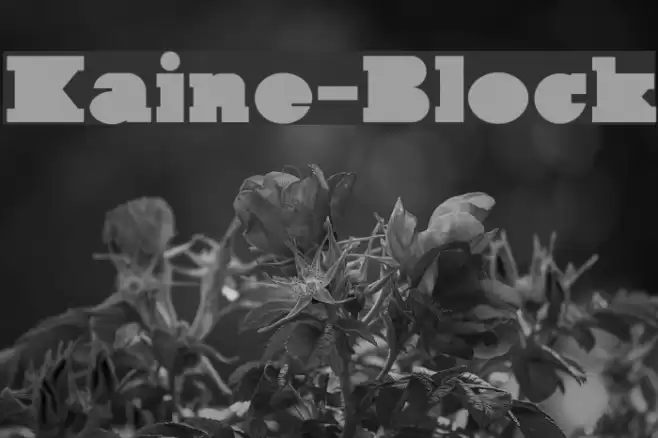 Kaine-Block Font examples
