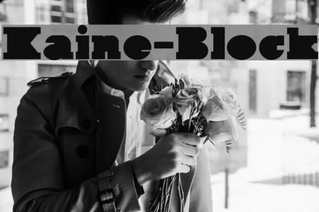 Kaine-Block Font examples