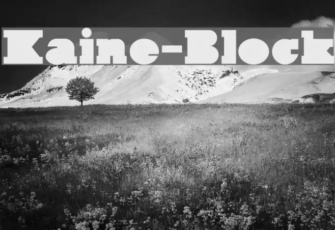 Kaine-Block Font examples