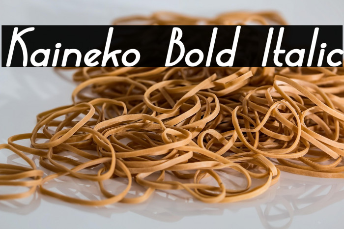 Kaineko Bold Italic Example 1