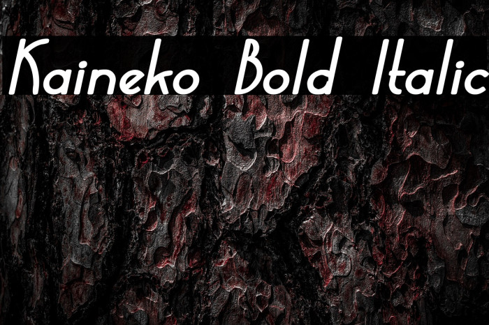 Kaineko Bold Italic Example 2