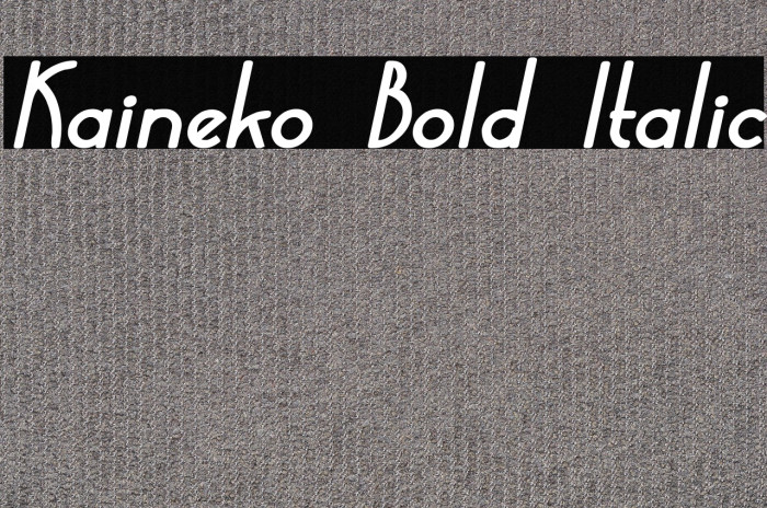 Kaineko Bold Italic Example 3