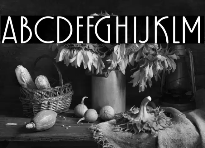 Kaineko Bold Font examples