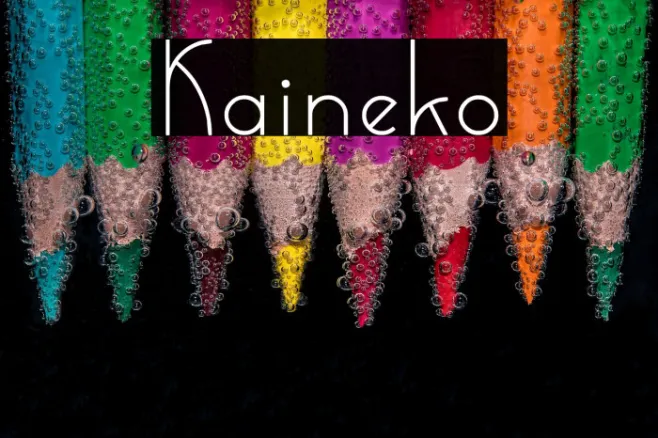 Kaineko Example 1