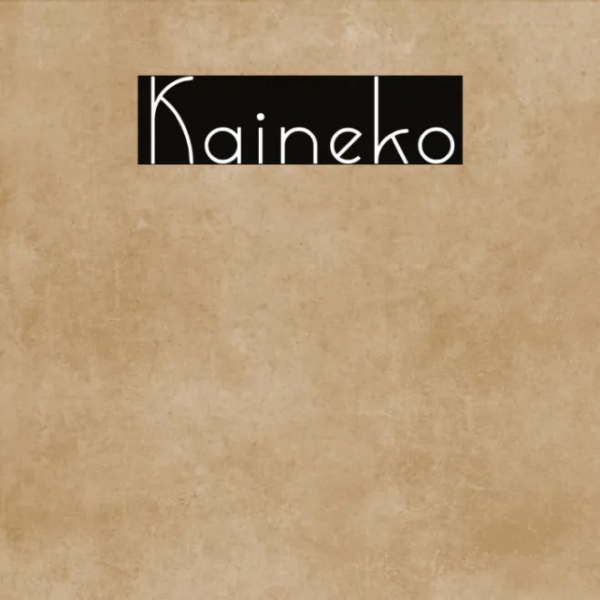 Kaineko Example 2