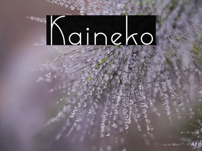 Kaineko Example 3
