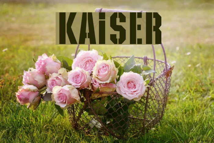 Kaiser Font examples
