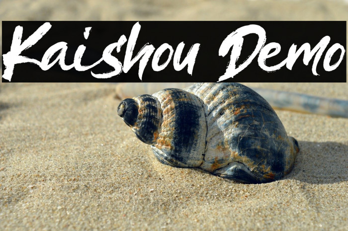 Kaishou Demo Example 2