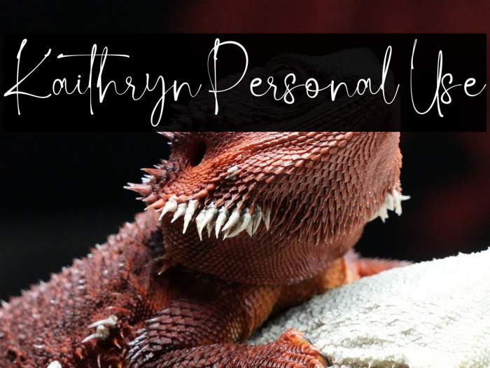 Kaithryn Personal Use Example 2