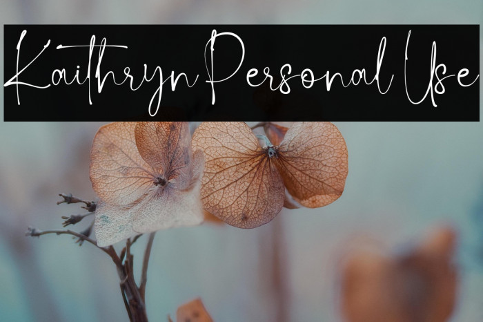 Kaithryn Personal Use Example 3