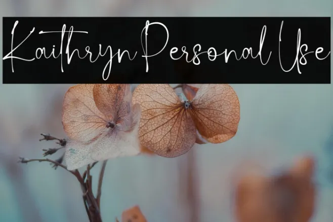 Kaithryn Personal Use Example 3