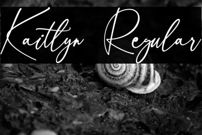 Kaitlyn  Regular फ़ॉन्ट examples