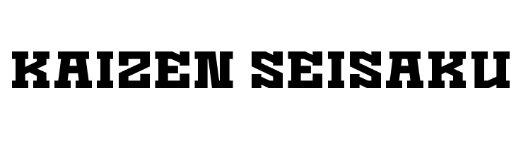 Kaizen Seisaku Polices