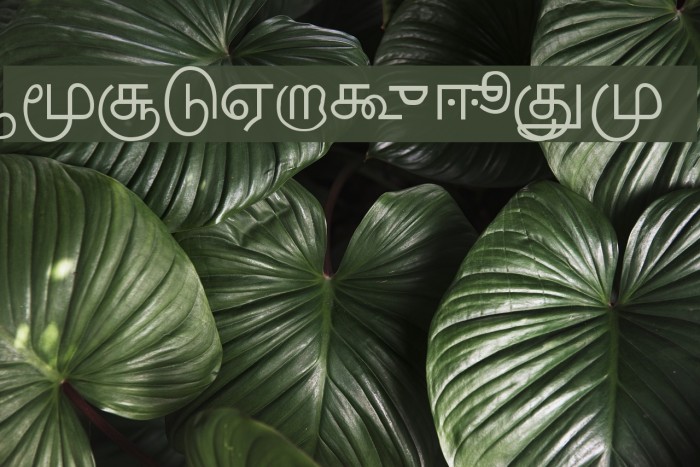 Kakamdotcom Шрифта examples