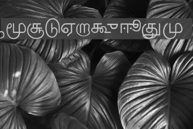 Kakamdotcom Font examples