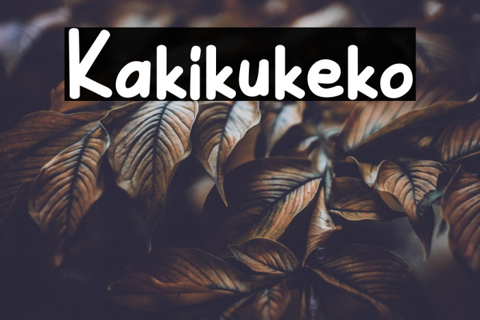 Kakikukeko Example 2