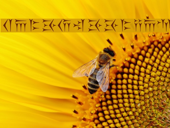 Kakoulookiam Font examples