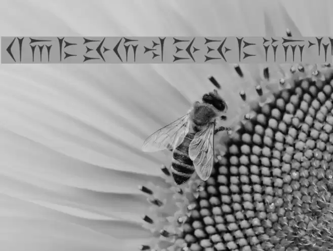 Kakoulookiam Font examples