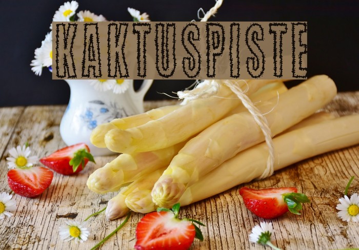 Kaktuspiste Font examples