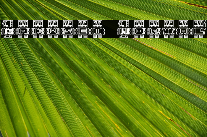 Kakusei Normal Example 2