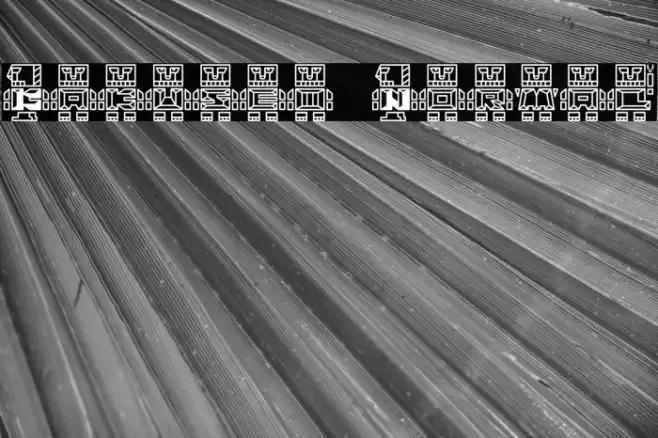 Kakusei Normal Fonte examples