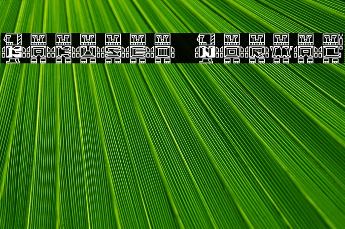 Kakusei Normal Example 3