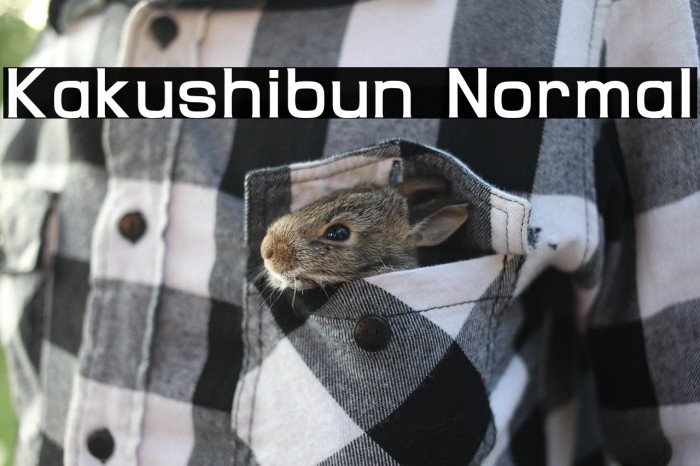 Kakushibun Normal Example 3