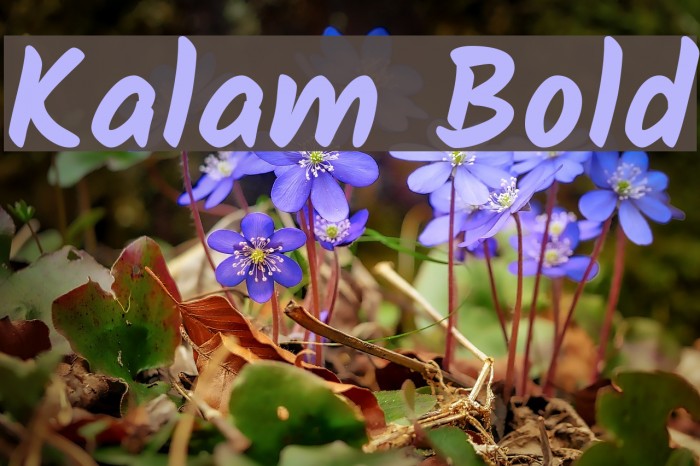 Kalam Bold Font examples