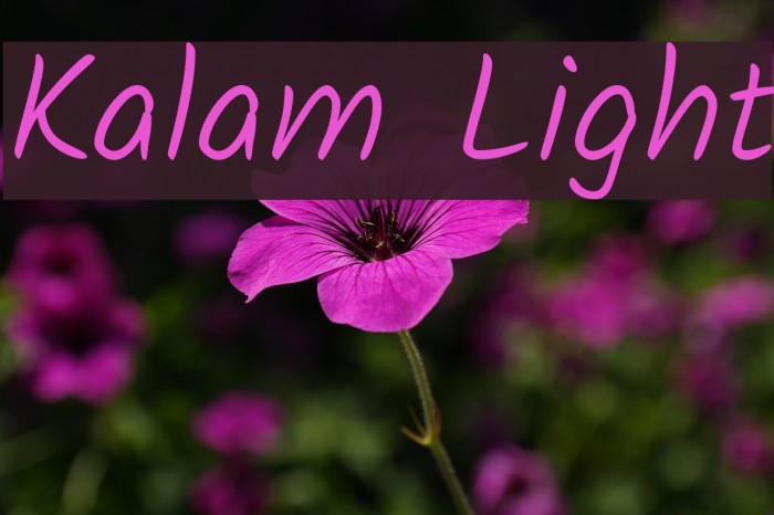 Kalam Light Font examples