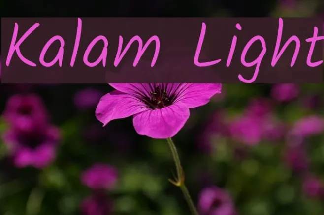 Kalam Light Example 1