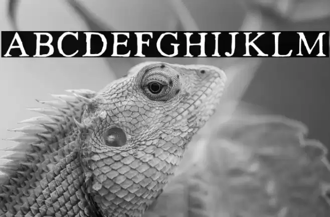 Kalapitka Regular Font examples