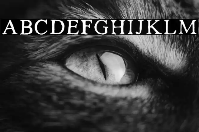 Kalapitka Regular Font examples