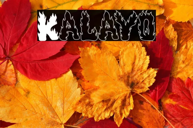 Kalayo Example 2
