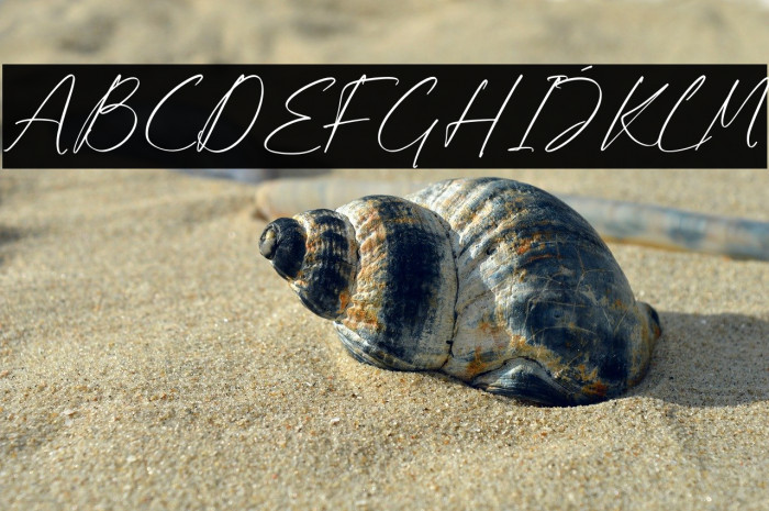 Kaldista Project Example 2