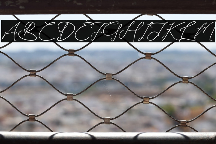 Kaleagnetta Example 3