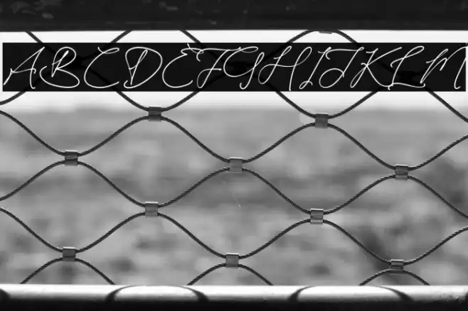 Kaleagnetta Caratteri examples